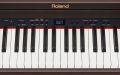 ROLAND RP-301R RW